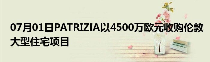 07月01日PATRIZIA以4500万欧元收购伦敦大型住宅项目