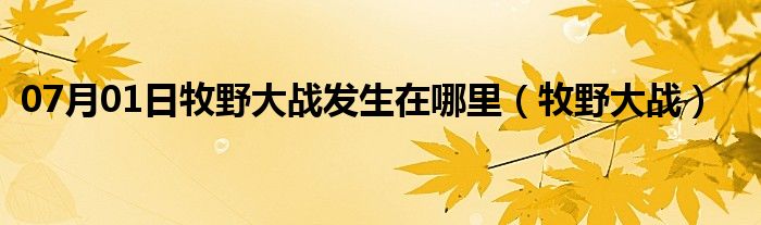 07月01日牧野大战发生在哪里（牧野大战）