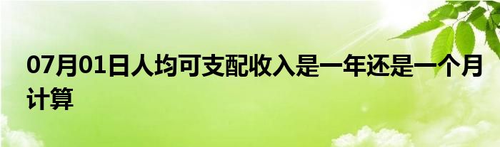 07月01日人均可支配收入是一年还是一个月计算