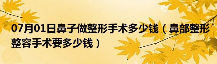 07月01日鼻子做整形手术多少钱（鼻部整形整容手术要多少钱）