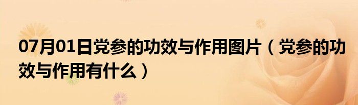 07月01日党参的功效与作用图片（党参的功效与作用有什么）