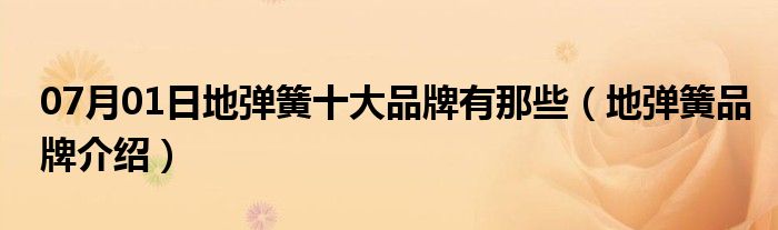 07月01日地弹簧十大品牌有那些（地弹簧品牌介绍）