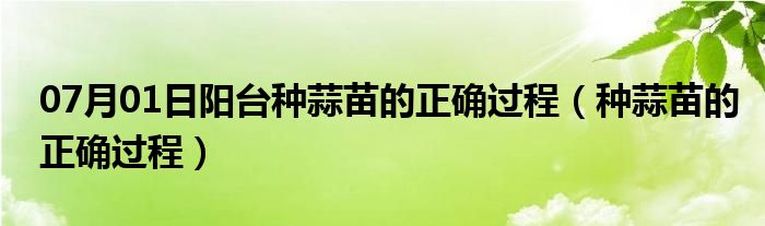 07月01日阳台种蒜苗的正确过程（种蒜苗的正确过程）