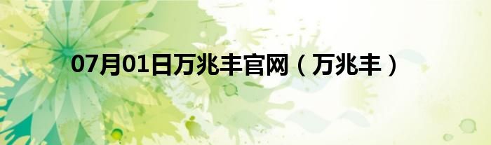 07月01日万兆丰官网（万兆丰）