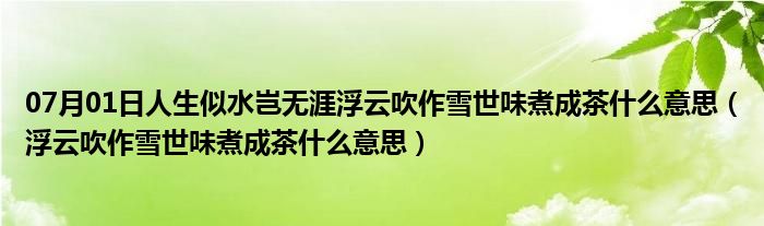 07月01日人生似水岂无涯浮云吹作雪世味煮成茶什么意思（浮云吹作雪世味煮成茶什么意思）