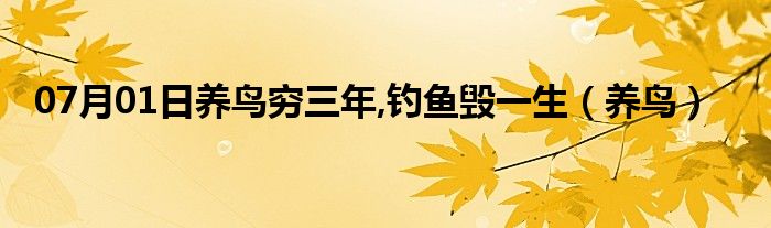 07月01日养鸟穷三年,钓鱼毁一生（养鸟）