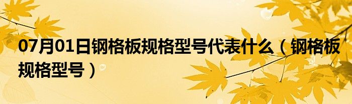 07月01日钢格板规格型号代表什么（钢格板规格型号）