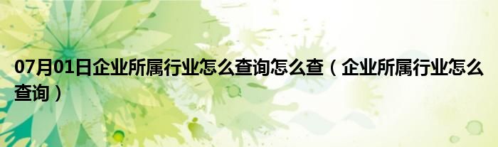 07月01日企业所属行业怎么查询怎么查（企业所属行业怎么查询）