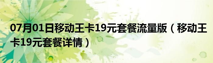 07月01日移动王卡19元套餐流量版（移动王卡19元套餐详情）