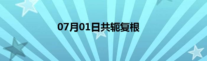 07月01日共轭复根