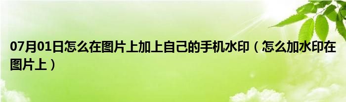 07月01日怎么在图片上加上自己的手机水印（怎么加水印在图片上）