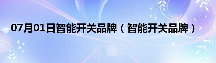 07月01日智能开关品牌（智能开关品牌）