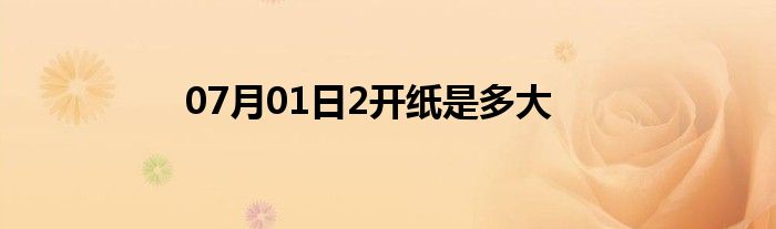 07月01日2开纸是多大