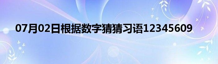 07月02日根据数字猜猜习语12345609