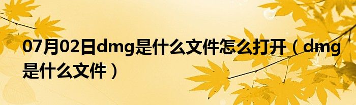 07月02日dmg是什么文件怎么打开（dmg是什么文件）