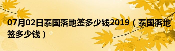 07月02日泰国落地签多少钱2019（泰国落地签多少钱）