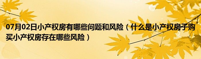 07月02日小产权房有哪些问题和风险（什么是小产权房子购买小产权房存在哪些风险）