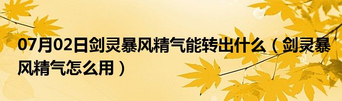 07月02日剑灵暴风精气能转出什么（剑灵暴风精气怎么用）