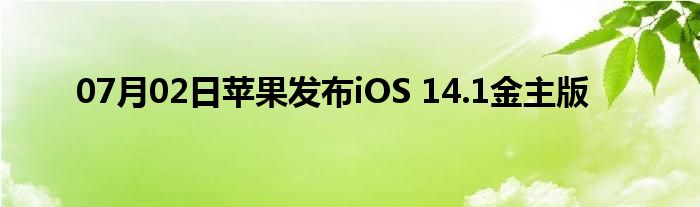 07月02日苹果发布iOS 14.1金主版