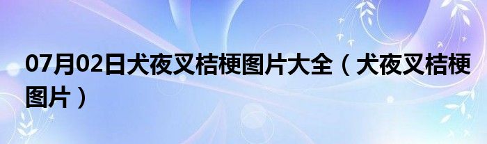 07月02日犬夜叉桔梗图片大全（犬夜叉桔梗图片）