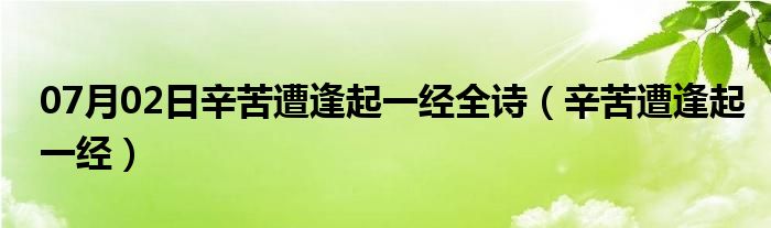 07月02日辛苦遭逢起一经全诗（辛苦遭逢起一经）