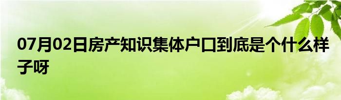 07月02日房产知识集体户口到底是个什么样子呀