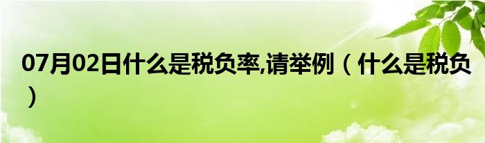 07月02日什么是税负率,请举例（什么是税负）