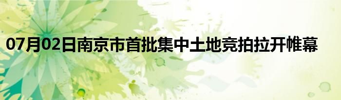 07月02日南京市首批集中土地竞拍拉开帷幕