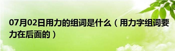 07月02日用力的组词是什么（用力字组词要力在后面的）