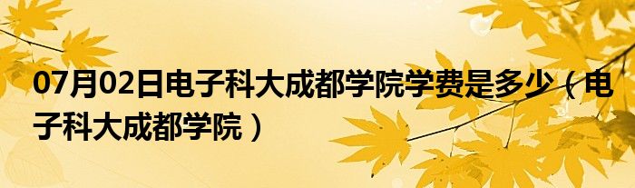 07月02日电子科大成都学院学费是多少（电子科大成都学院）