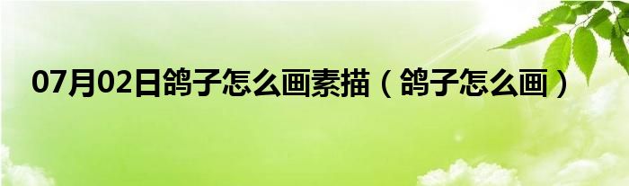 07月02日鸽子怎么画素描（鸽子怎么画）