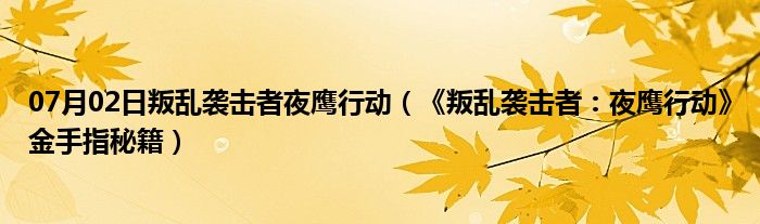 07月02日叛乱袭击者夜鹰行动（《叛乱袭击者：夜鹰行动》金手指秘籍）