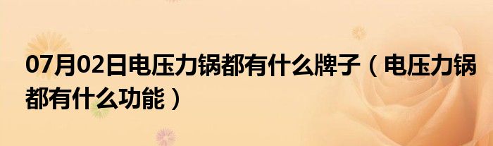 07月02日电压力锅都有什么牌子（电压力锅都有什么功能）