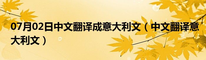 07月02日中文翻译成意大利文（中文翻译意大利文）