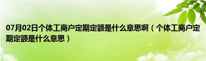 07月02日个体工商户定期定额是什么意思啊（个体工商户定期定额是什么意思）