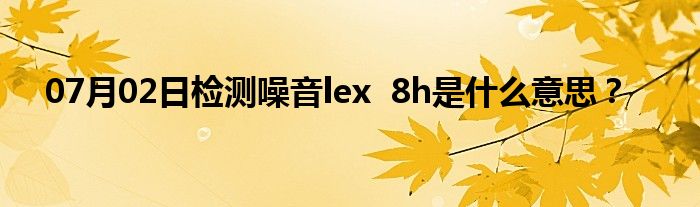 07月02日检测噪音lex  8h是什么意思？