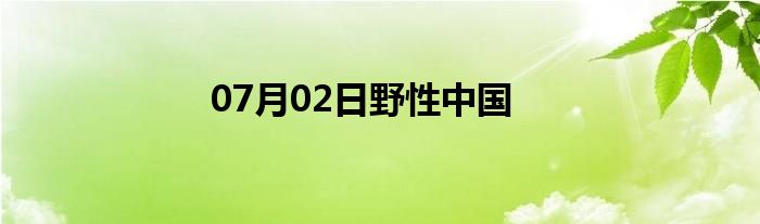 07月02日野性中国