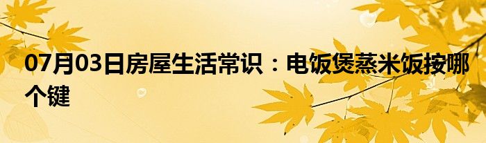 07月03日房屋生活常识：电饭煲蒸米饭按哪个键