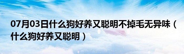 07月03日什么狗好养又聪明不掉毛无异味（什么狗好养又聪明）