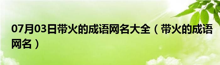 07月03日带火的成语网名大全（带火的成语网名）