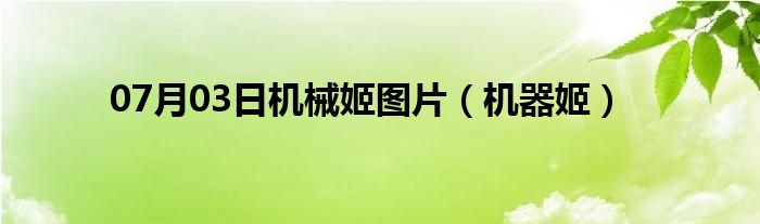 07月03日机械姬图片（机器姬）