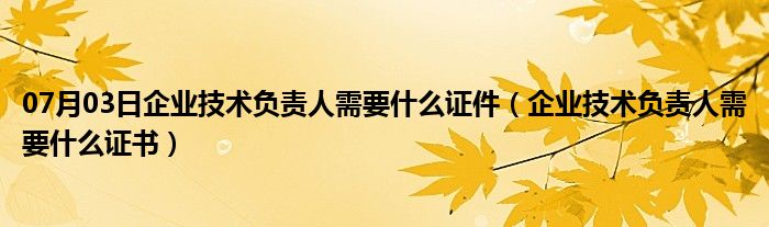 07月03日企业技术负责人需要什么证件（企业技术负责人需要什么证书）