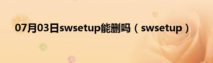 07月03日swsetup能删吗（swsetup）