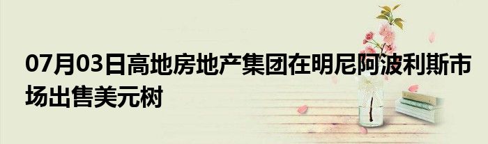 07月03日高地房地产集团在明尼阿波利斯市场出售美元树