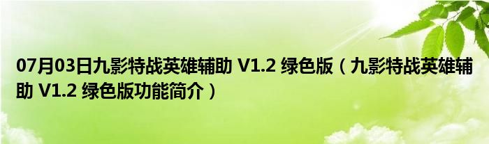 07月03日九影特战英雄辅助 V1.2 绿色版（九影特战英雄辅助 V1.2 绿色版功能简介）