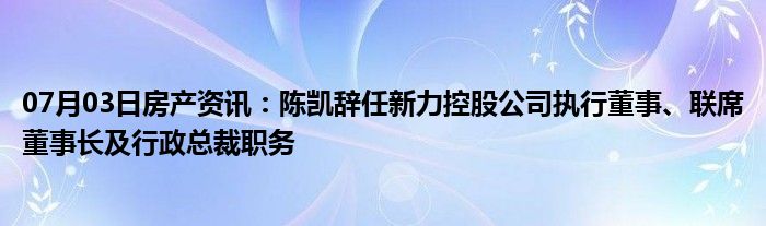 07月03日房产资讯：陈凯辞任新力控股公司执行董事、联席董事长及行政总裁职务