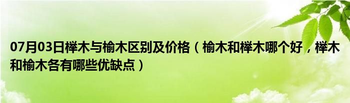 07月03日榉木与榆木区别及价格（榆木和榉木哪个好，榉木和榆木各有哪些优缺点）