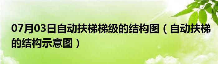 07月03日自动扶梯梯级的结构图（自动扶梯的结构示意图）