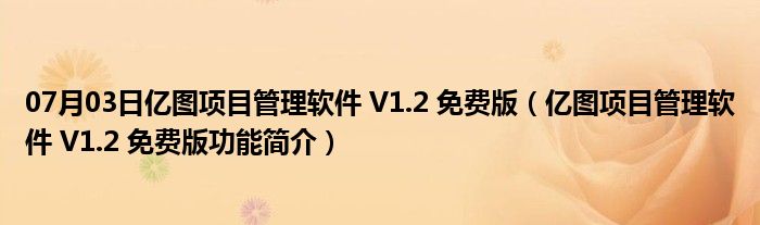 07月03日亿图项目管理软件 V1.2 免费版（亿图项目管理软件 V1.2 免费版功能简介）