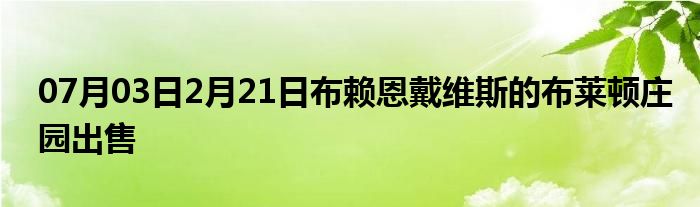 07月03日2月21日布赖恩戴维斯的布莱顿庄园出售